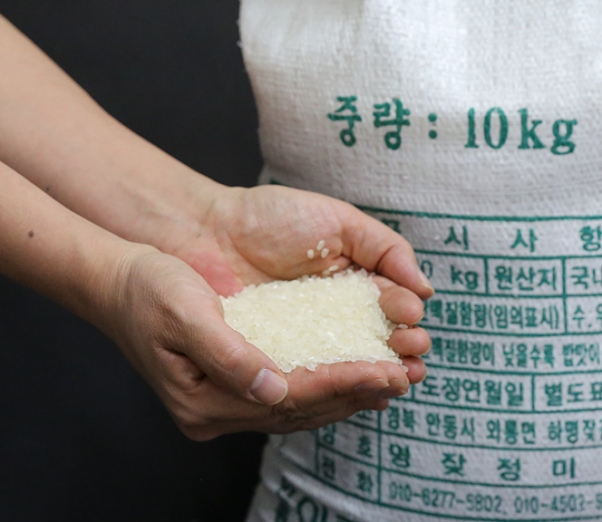 친환경 먹거리 다팜,23년 햅쌀 안동 백진주쌀, 현미 영호진미쌀 5kg (지퍼팩형)