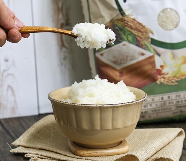친환경 먹거리 다팜,23년 햅쌀 안동 백진주쌀 10kg