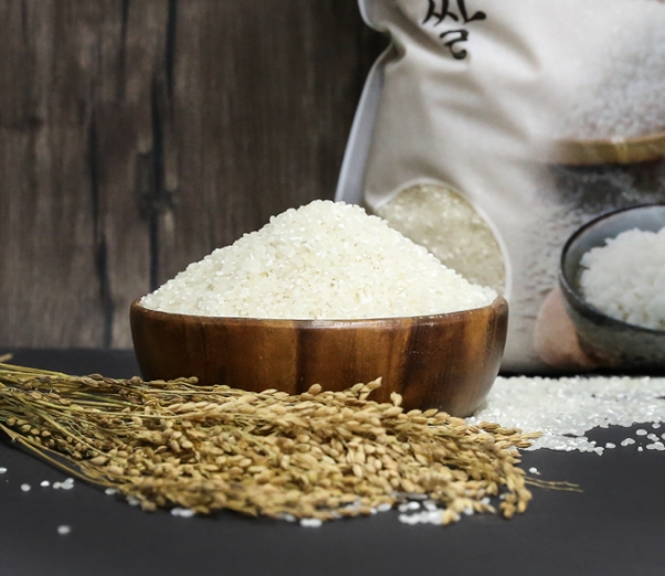 친환경 먹거리 다팜,23년 햅쌀 안동 영호진미쌀 백진주쌀 5kg (지퍼팩형)